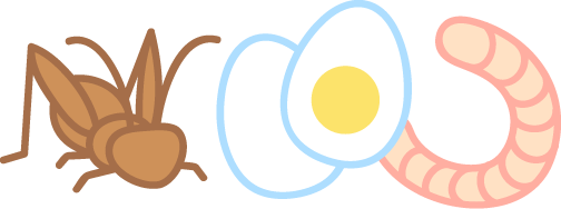 動物質
