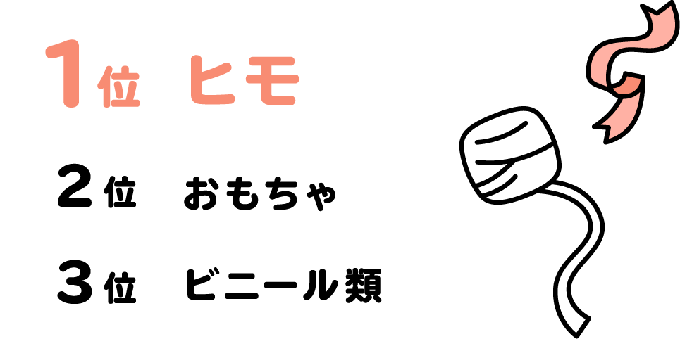 １位ひも、２位おもちゃ、３位ビニール類