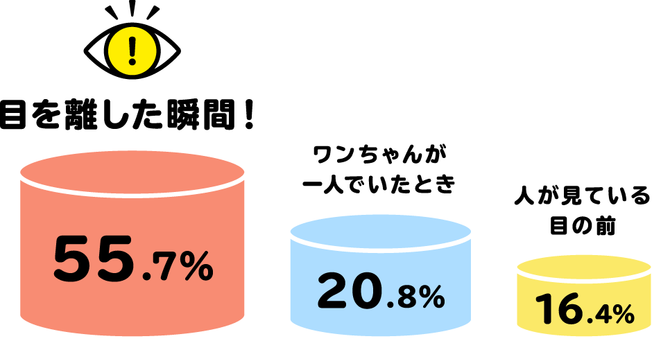 「目を離した瞬間！」が55.7%、「ワンちゃんが一人でいたとき」が20.8%、「人が見ている目の前」が16.4%