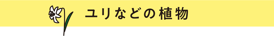 ユリなどの植物