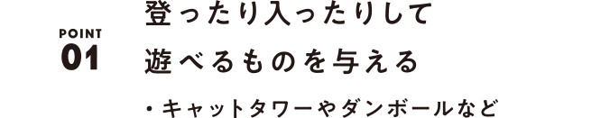 01 登ったり入ったりして遊べるものを与える ・キャットタワーやダンボールなど