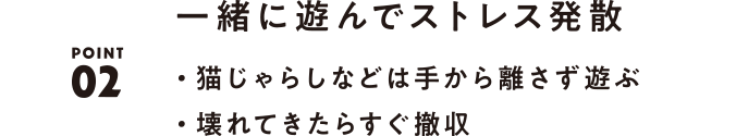 02 一緒に遊んでストレス発散 ・猫じゃらしなどは手から離さず遊ぶ ・壊れてきたらすぐ撤収