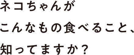 ネコちゃんがこんなもの食べること、知ってますか？