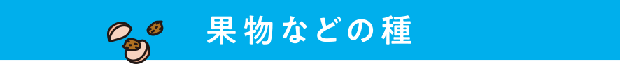 果物などの種