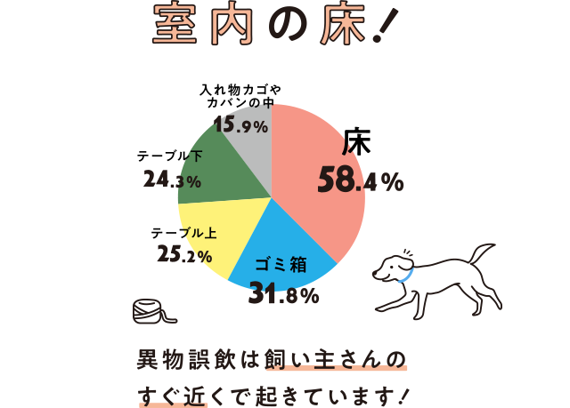 A2 室内の床！ 異物誤飲は飼い主さんのすぐ近くで起きています！ 床 58.4%,ゴミ箱 31.8%,テーブル上 25.2%,テーブル下 24.3%,入れ物カゴやカバンの中 15.9%