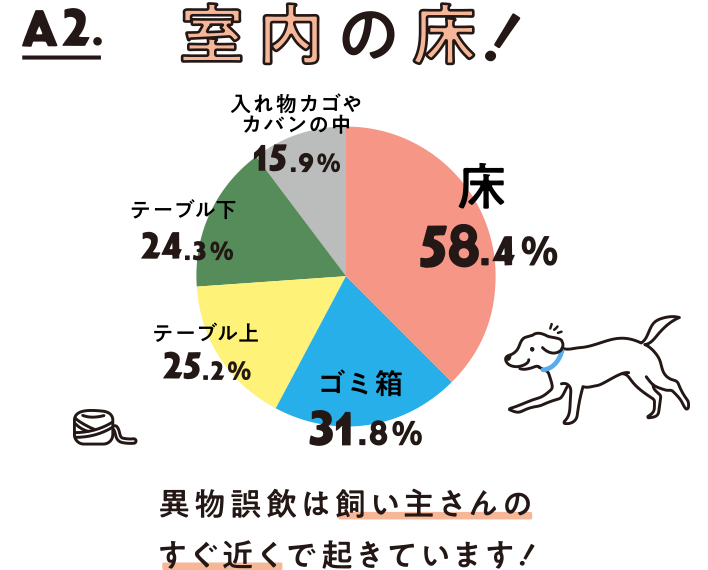 Dog 異物誤飲をしたとき どうしたらいいの うちの子 Happy Project