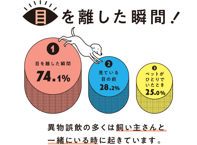 A3 目を離した瞬間！ 異物誤飲の多くは飼い主さんと一緒にいる時に起きています。 1 目を話した瞬間 74.1%,2 見ている目の前 28.2%,3 ペットがひとりでいたとき 25.0%