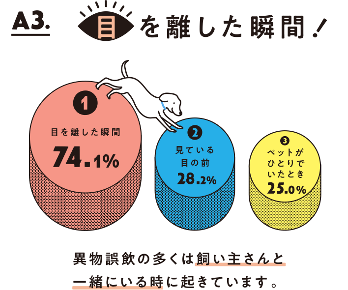 Dog 異物誤飲をしたとき どうしたらいいの うちの子 Happy Project Dog 異物誤飲をしたとき どうしたらいいの うちの子 Happy Project