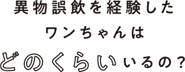 異物誤飲を経験したワンちゃんはどのくらいいるの？