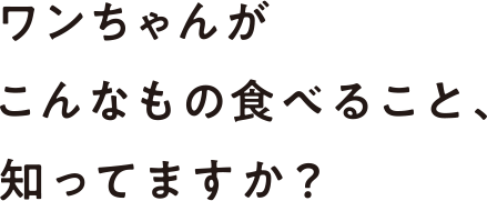 ワンちゃんがこんなもの食べること、知ってますか？