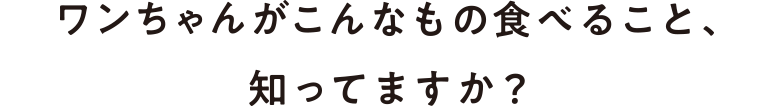 ワンちゃんがこんなもの食べること、知ってますか？