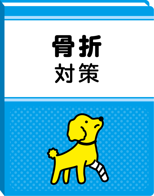 骨折対策