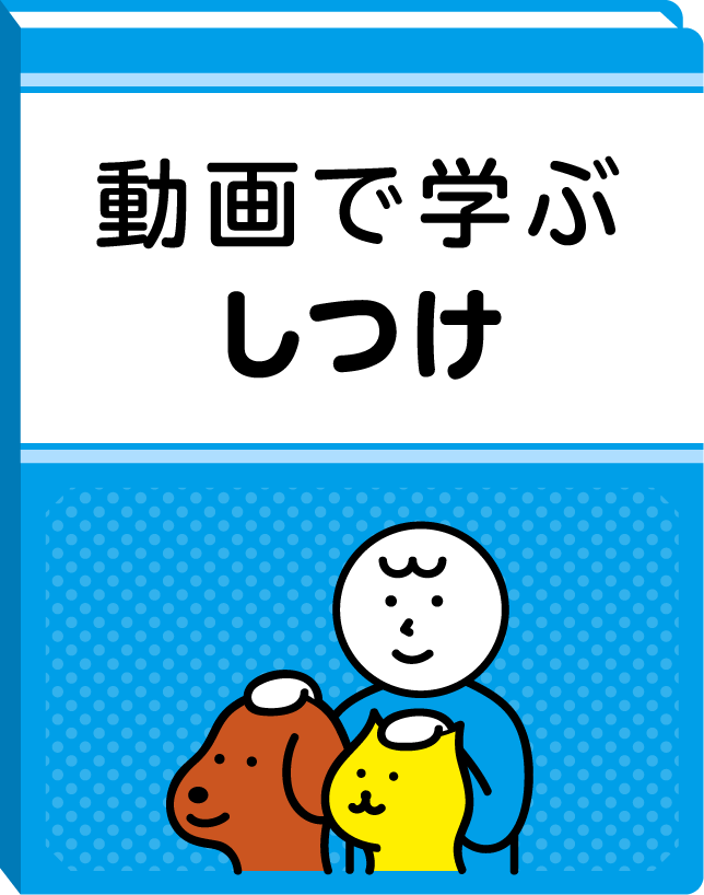 動画で学ぶしつけ