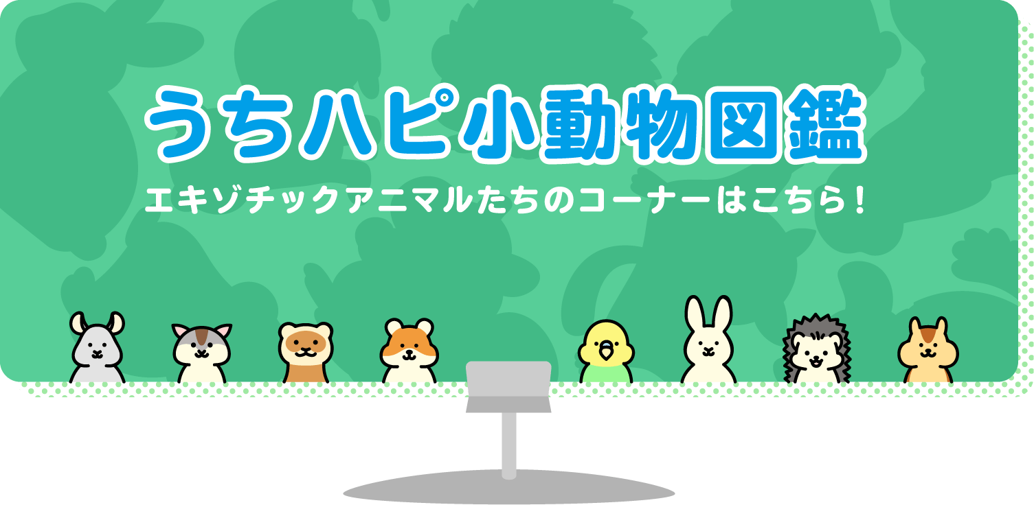 うちハピ小動物図鑑