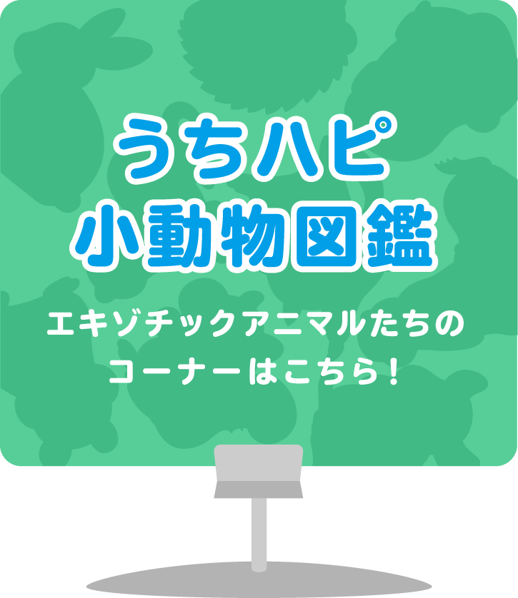 うちハピ小動物図鑑