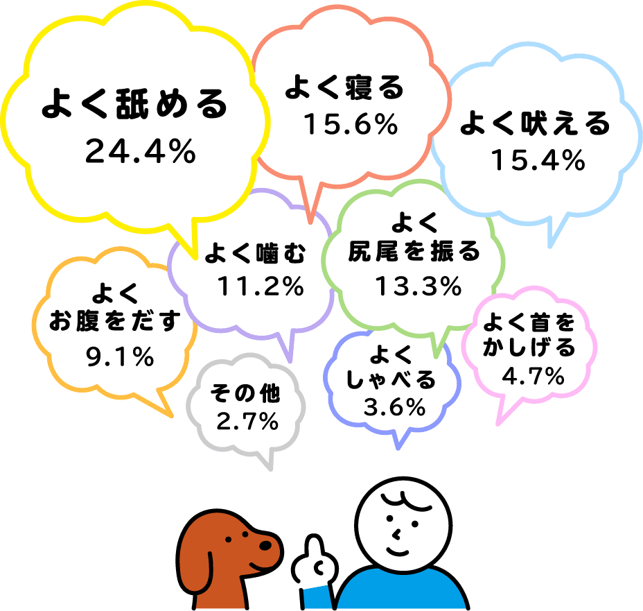 飼い方アンケート調査 結果発表 うちの子 Happy Project 飼い方アンケート調査 結果発表 うちの子 Happy Project