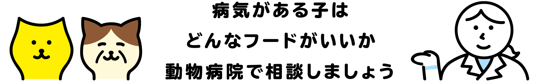 病気がある子はどんなフードがいいか動物病院で相談しましょう