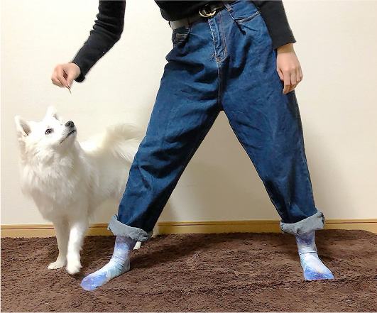 何度も繰り返します。