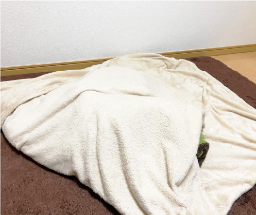 広いスペースのあるところに置きます。