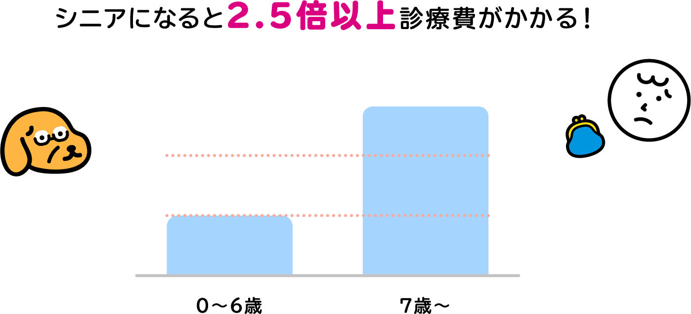 ワンちゃんの平均年間診療費はシニアになると2.5倍以上診療費がかかる！