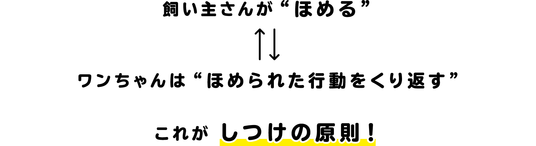 飼い主さんが“ほめる”ワンちゃんは“ほめられた行動をくり返す”これが しつけの原則！