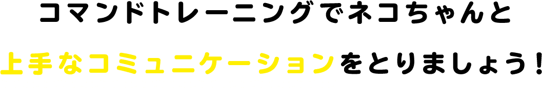 コマンドトレーニングでネコちゃんと上手なコミュニケーションをとりましょう！