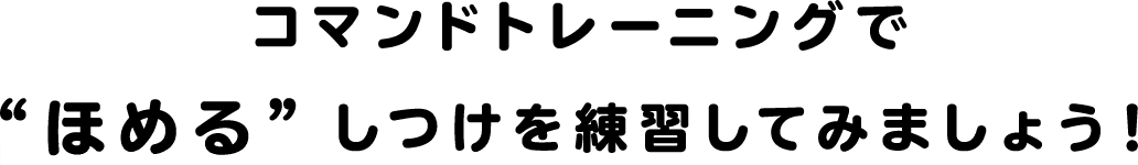 コマンドトレーニングで“ほめる”しつけを練習してみましょう！