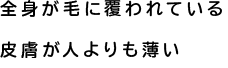 全身が毛に覆われている地肌が人よりも薄い