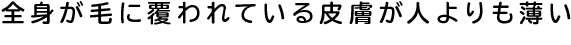 全身が毛に覆われている地肌が人よりも薄い