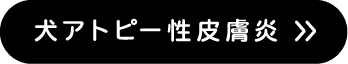 犬アトピー性皮膚炎