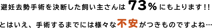 避妊去勢手術を決断した飼い主さんは73%にも上ります！！とはいえ、手術するまでには様々な不安がつきものですよね…