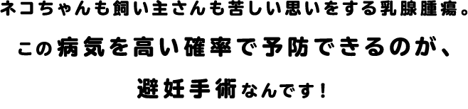 ネコちゃんも飼い主さんも苦しい思いをする乳腺腫瘍。この病気を高い確率で予防できるのが、避妊手術なんです！