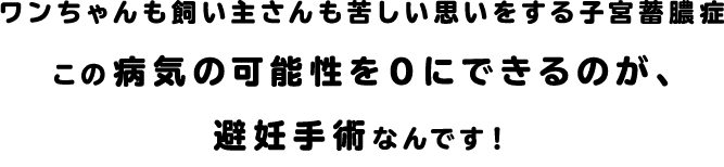 ワンちゃんも飼い主さんも苦しいいをする子宮蓄膿症この病気の可能性を0にできるのが、避妊手術なんです！