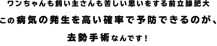 ワンちゃんも飼い主さんも苦しい思いをする前立腺肥大この病気の発生を高い確率で予防できるのが、去勢手術なんです！