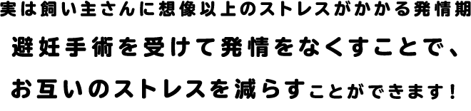 実は飼い主さんに想像以上のストレスがかかる発情期　避妊手術を受けて発情をなくすことで、お互いのストレスを減らすことができます！