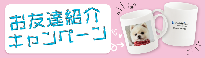 お友達紹介キャンペーン