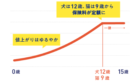 高齢期の保険料が定額