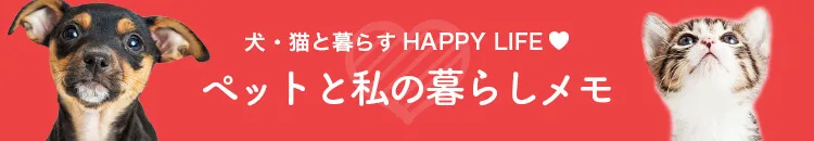 猫のくしゃみは病気のサイン 原因と症状から見分けるポイントを解説 ペット保険ならアイペット損保 数々のno 1受賞 猫のくしゃみは病気のサイン 原因と症状から見分けるポイントを解説 ペット保険ならアイペット損保 数々のno 1受賞