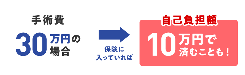 手術費30万円の場合、保険に入っていれば自己負担額10万円で済むことも!