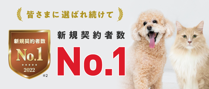 新規契約者数No.1