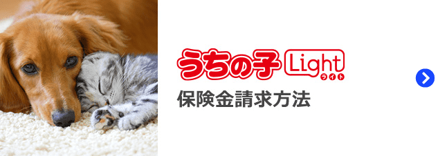 うちの子ライト　保険金請求方法