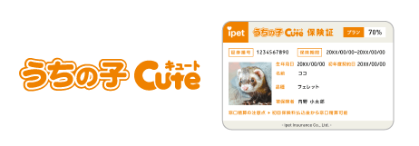 うちの子キュート