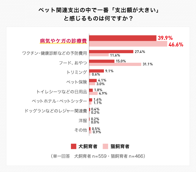 犬 猫のペット保険はこうやって選ぶ 比較方法や選び方をファイナンシャル プランナーが解説 ペット保険ならアイペット損保 数々のno 1受賞