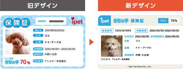 うちの子保険証新旧デザイン