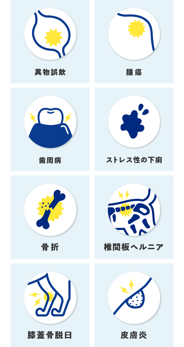 歯周病や下痢、異物誤飲、腫瘍を補償