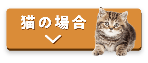 猫の場合