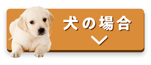 犬の場合