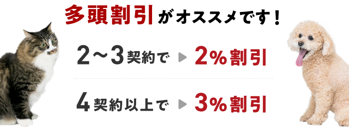 多頭割引がオススメです！2、3契約で2%割引 4契約以上で3%割引