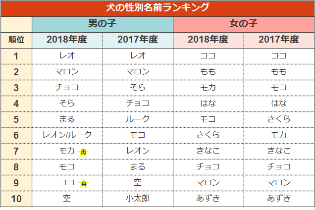 ペットの名前ランキング19 ペット保険のアイペット損保