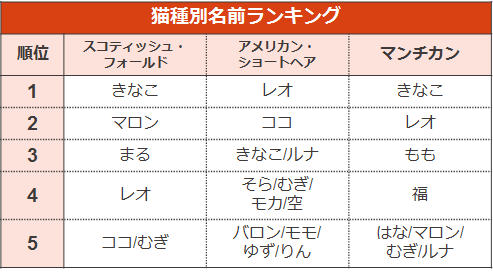 ペットの名前ランキング19 ペット保険ならアイペット損保 数々のno 1受賞